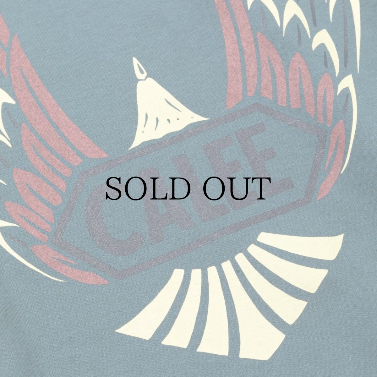 画像6: CALEE(キャリー) / VINTAGE TYPE WING LOGO L/S TEE <NATURALLY PAINT DESIGN> (6)