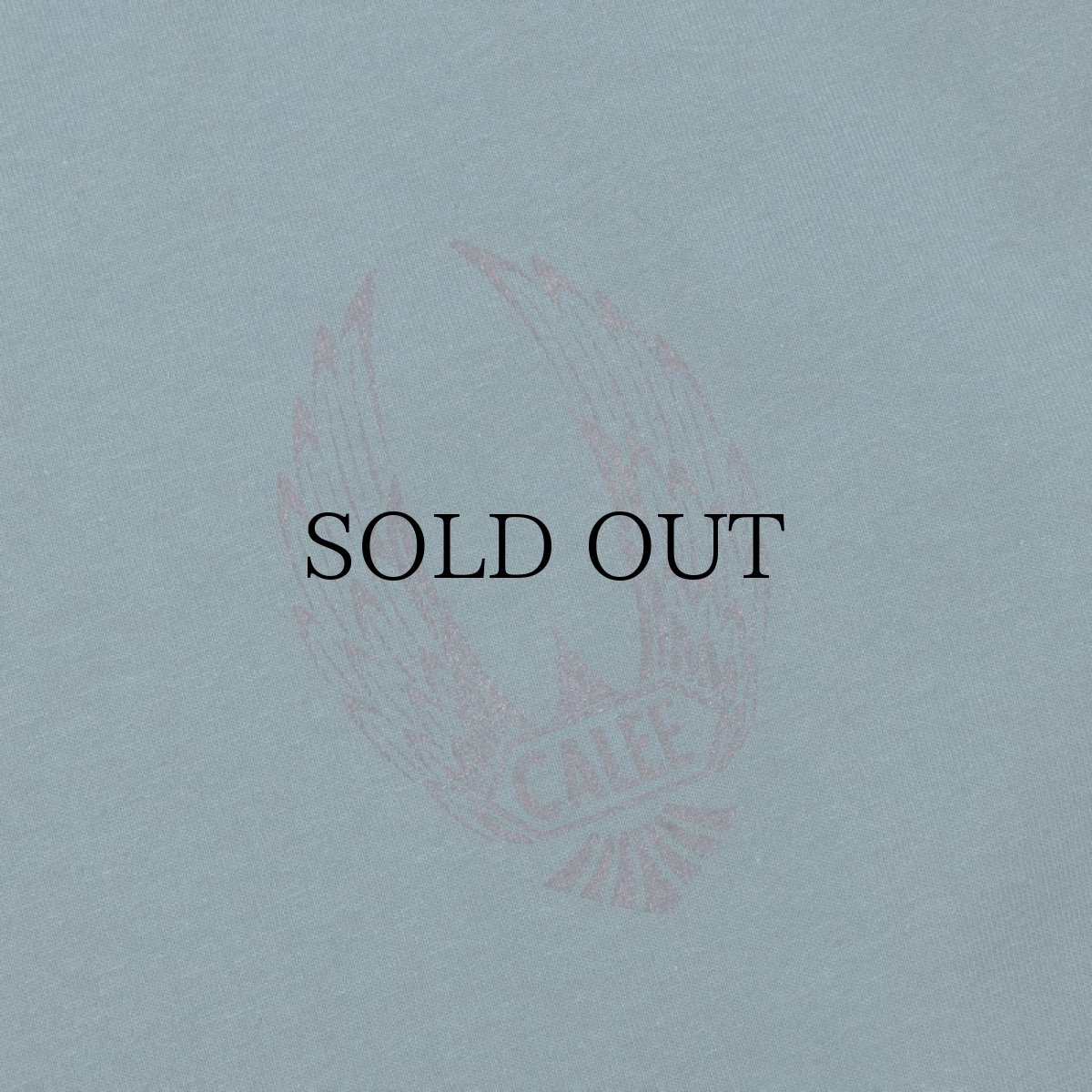 画像7: CALEE(キャリー) / VINTAGE TYPE WING LOGO L/S TEE <NATURALLY PAINT DESIGN> (7)