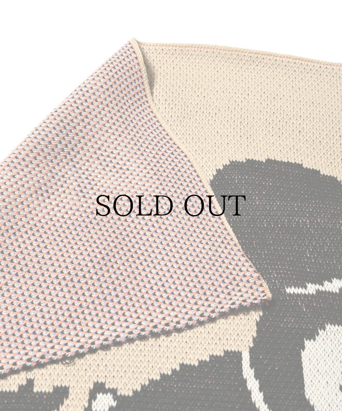 画像6: LFYT(ラファイエット) / BRIDGE SHIP HOUSE BSH × SNKRDUNK × LFYT BLANKET (6)