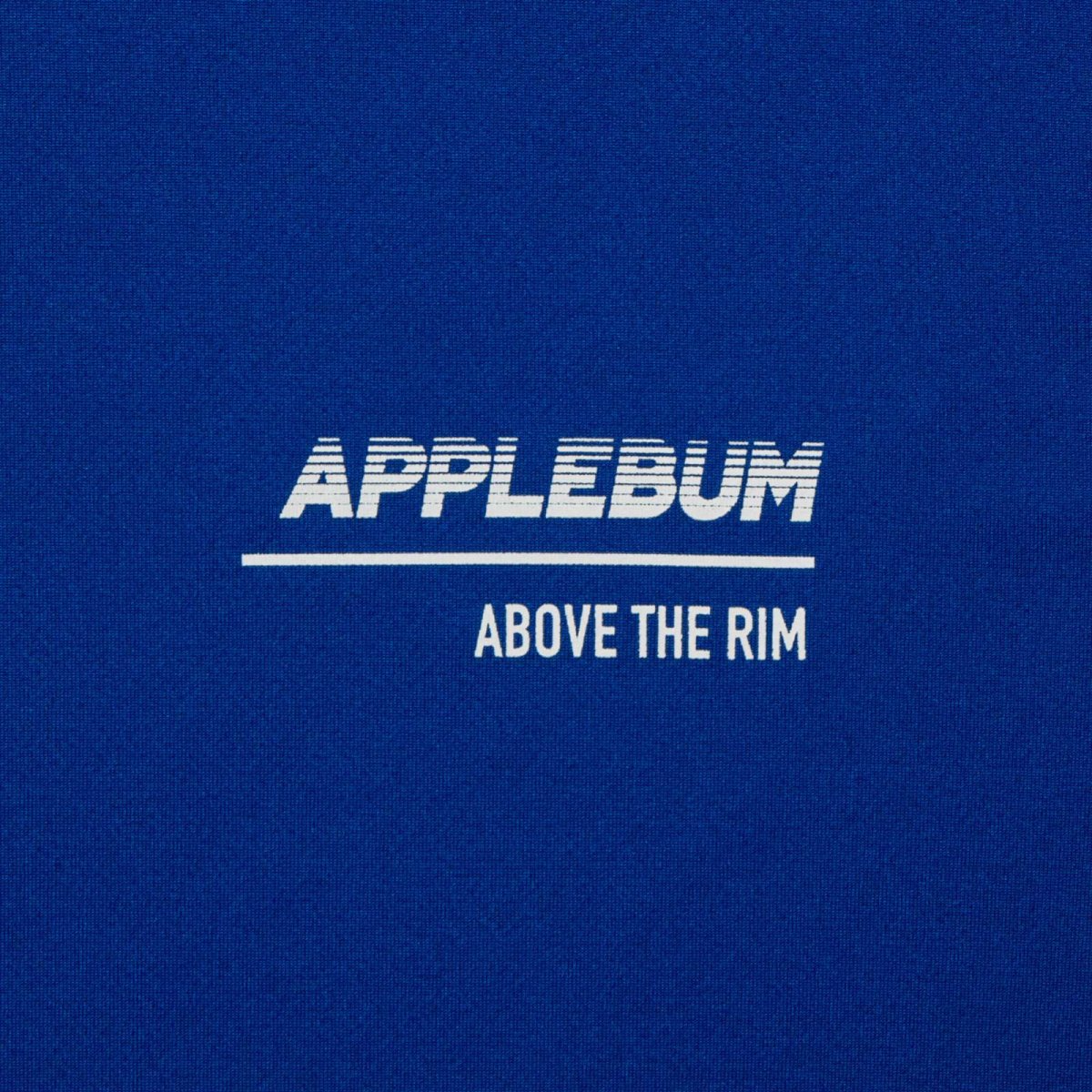 画像12: APPLEBUM(アップルバム) / "ABOVE THE RIM" Elite Performance Dry L/S T-shirt (12)
