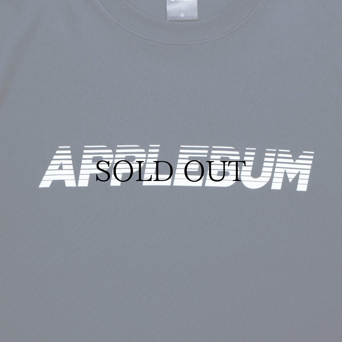 画像9: APPLEBUM(アップルバム) / “Sports Logo” Elite Performance Dry L/S T-shirt (9)