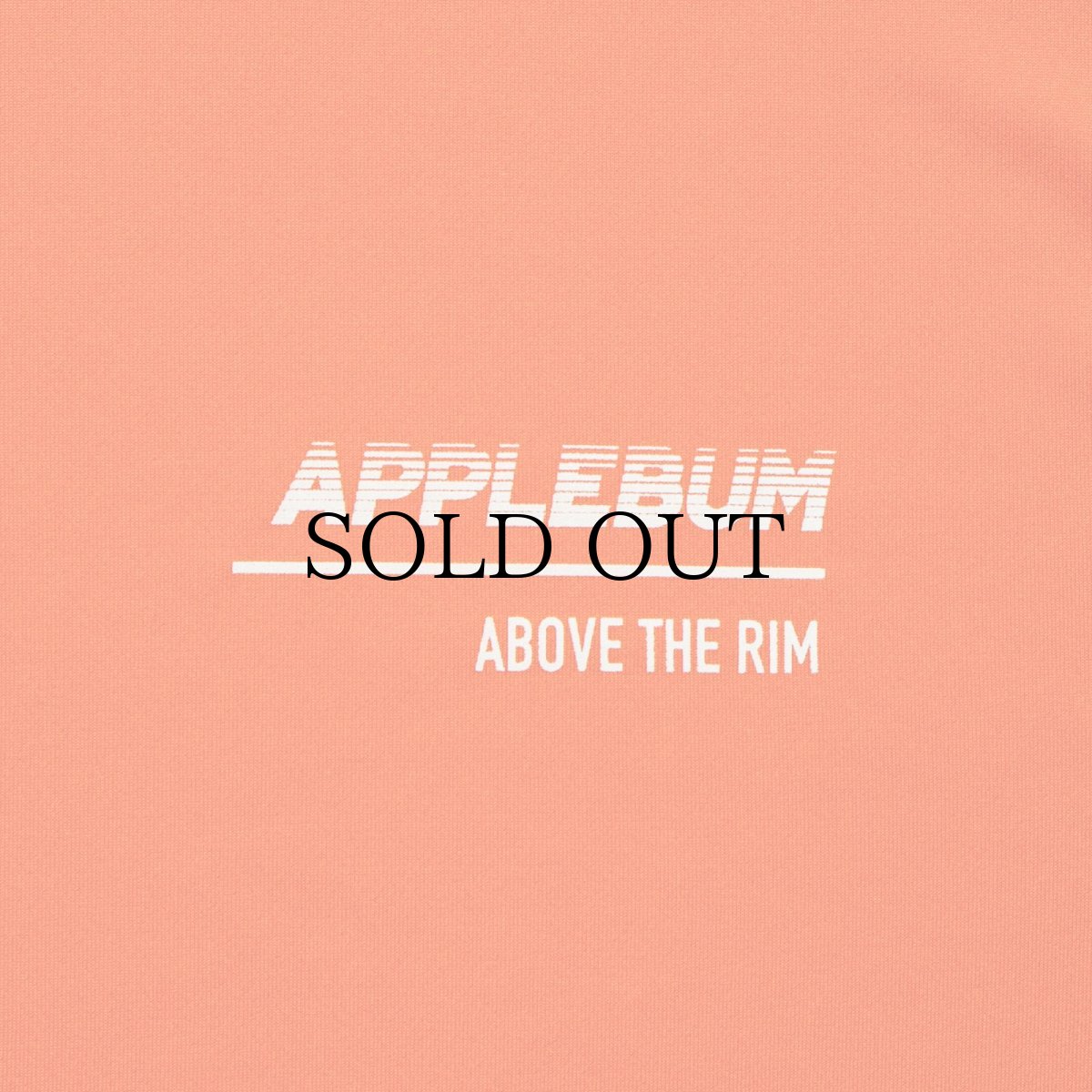画像10: APPLEBUM(アップルバム) / "ABOVE THE RIM" Elite Performance Dry L/S T-shirt (10)