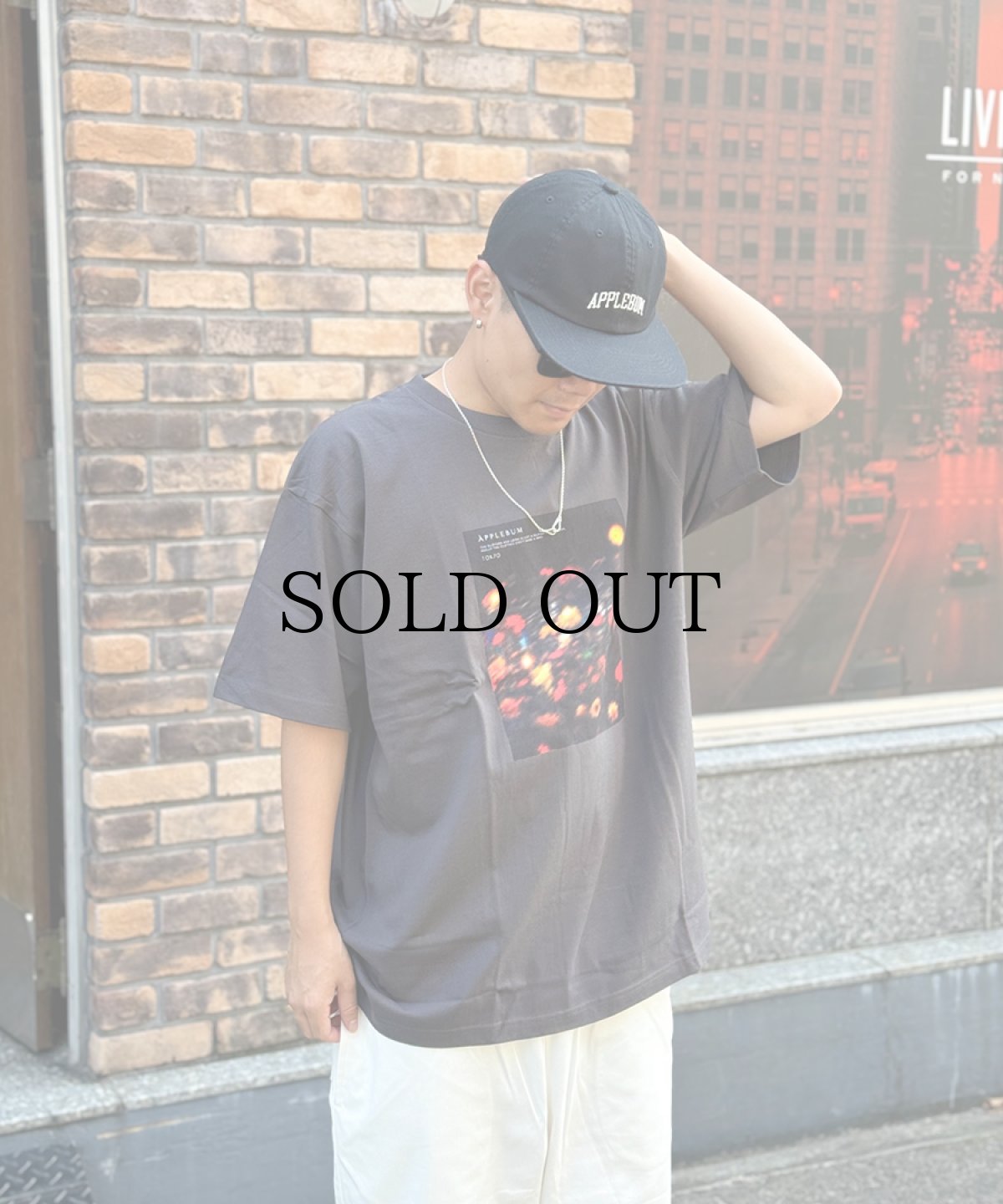 画像3: APPLEBUM(アップルバム) / "UTOPIA" PHOTO T-SHIRT 6.2OZ (3)