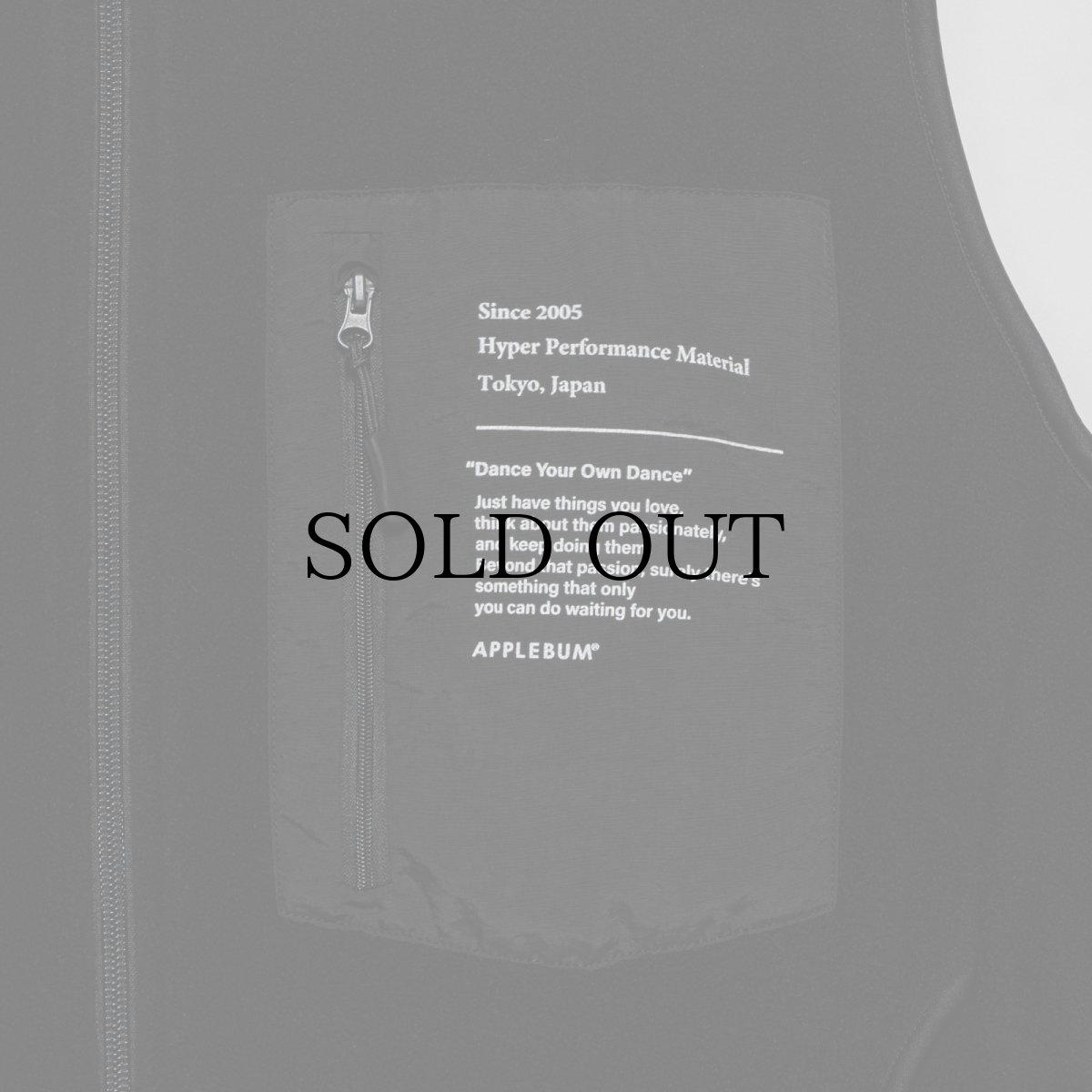 画像5: APPLEBUM(アップルバム) / Fleece Full Zip Vest (5)