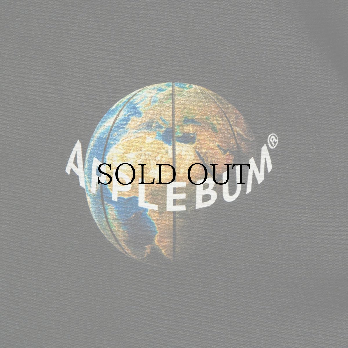 画像4: APPLEBUM(アップルバム) / "Earth Ball" Coach Jacket (4)