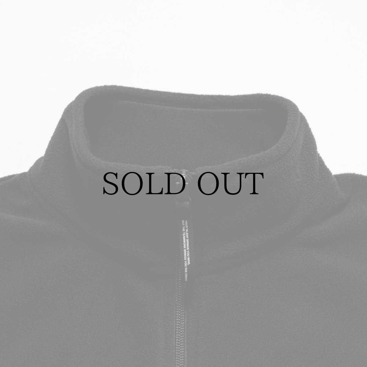 画像3: APPLEBUM(アップルバム) / Fleece Full Zip Vest (3)