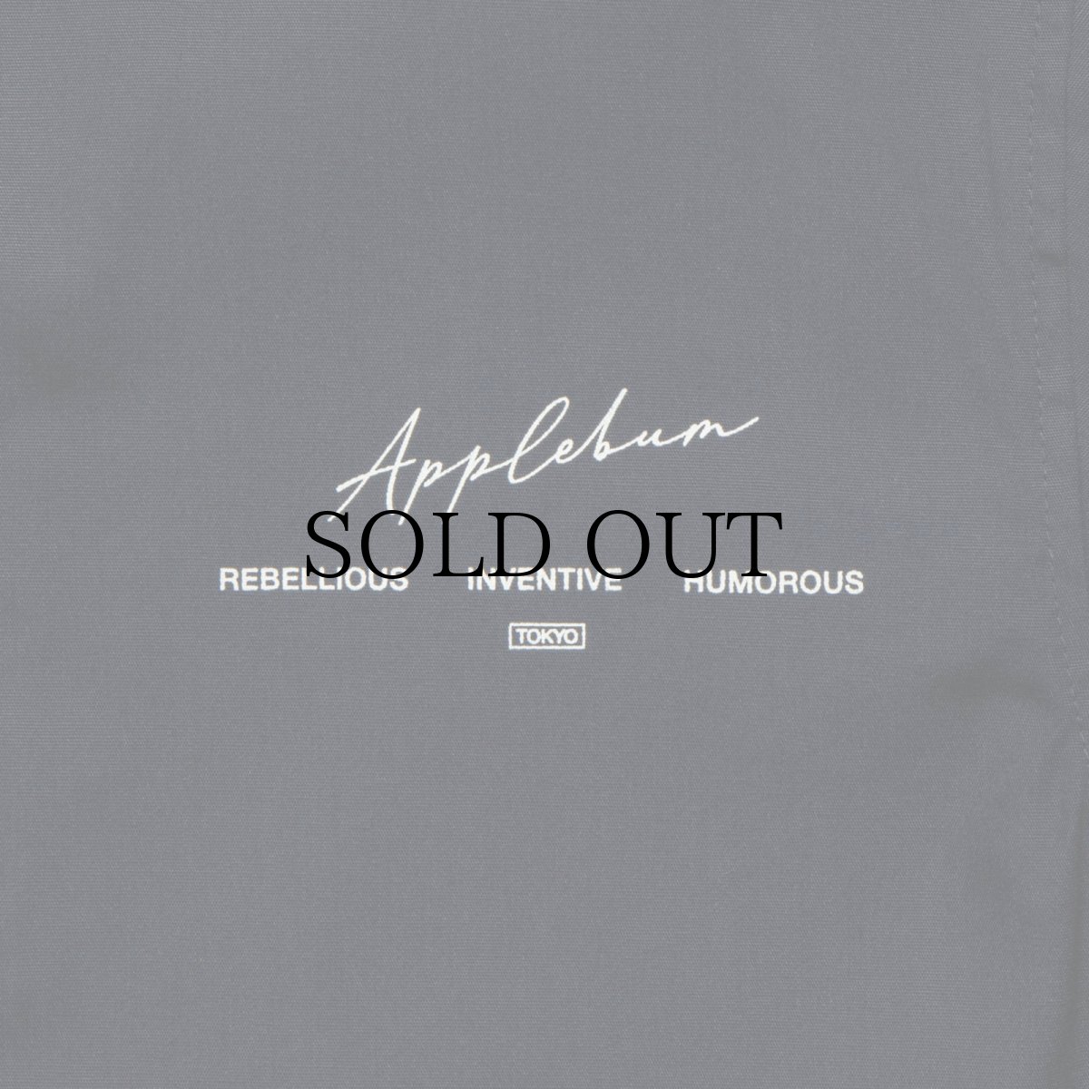 画像4: APPLEBUM(アップルバム) / “Stunts, Blunts & Hiphop” Coach Jacket (4)