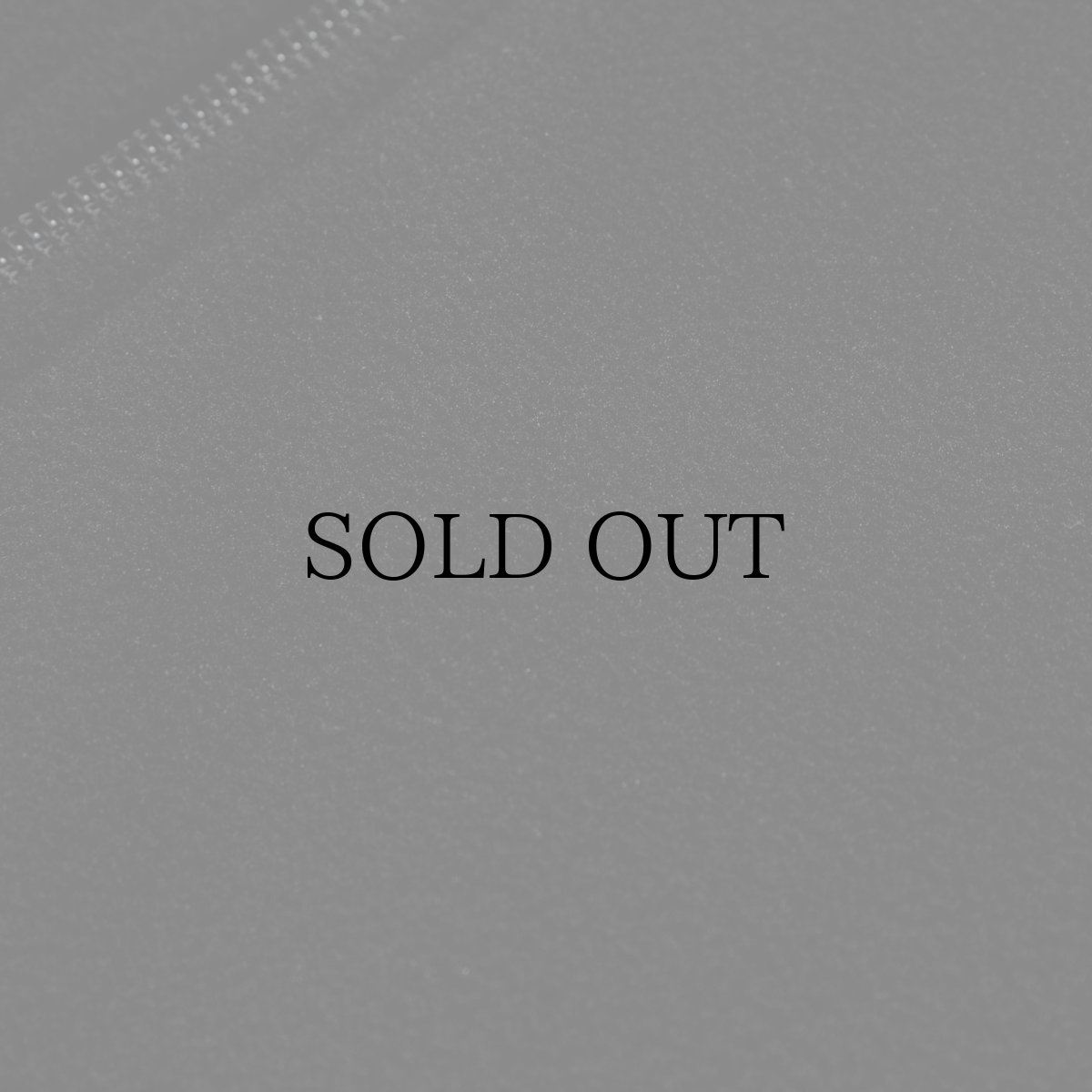 画像6: APPLEBUM(アップルバム) / Fleece Full Zip Vest (6)