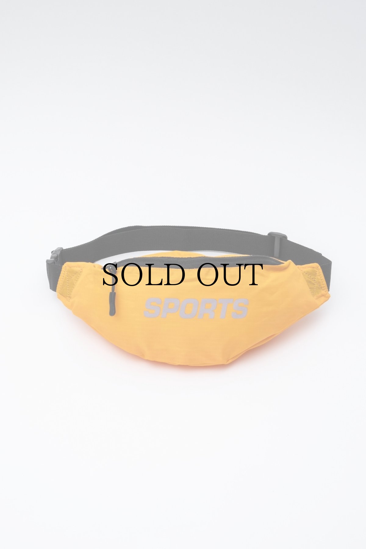 画像2: INTERBREED(インターブリード) / Sports Fanny Pack (2)