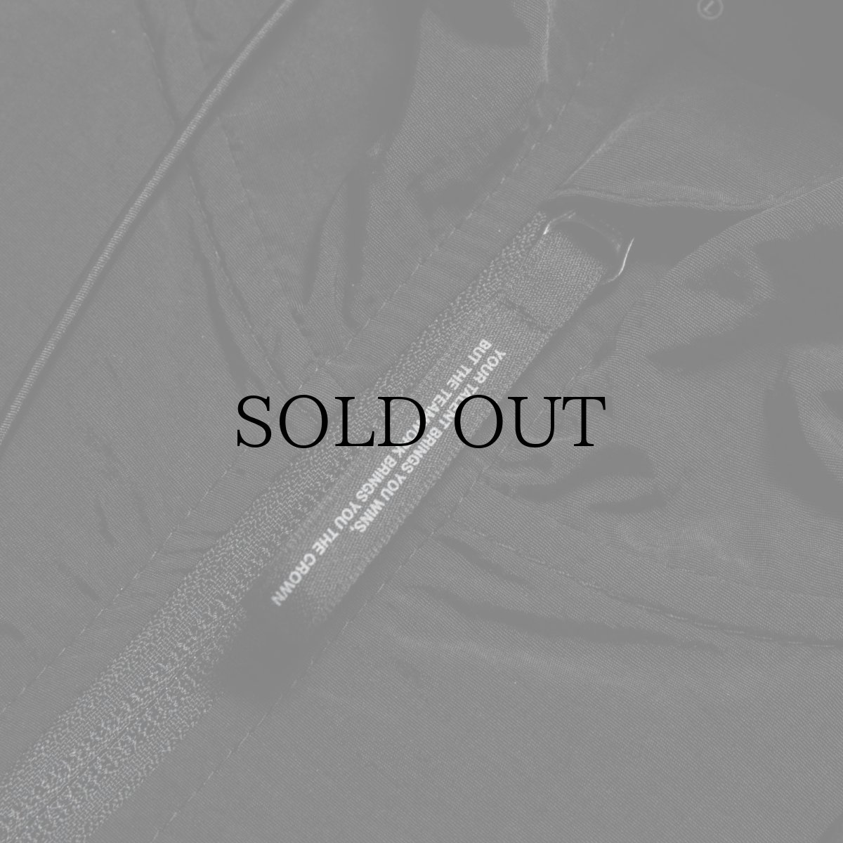 画像15: APPLEBUM(アップルバム) / Nylon Anorak Parka (15)