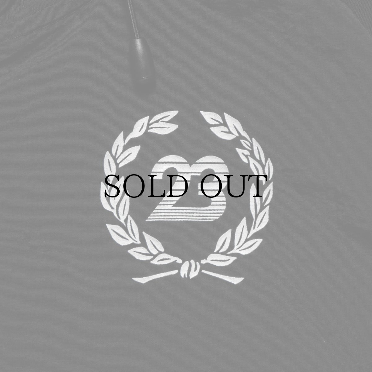 画像9: APPLEBUM(アップルバム) / Nylon Anorak Parka (9)