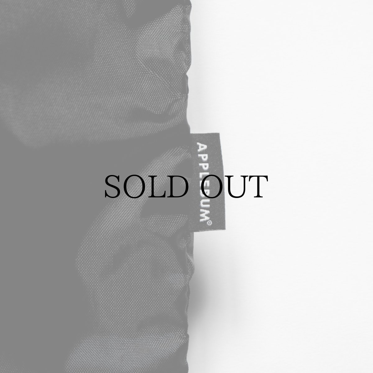 画像5: APPLEBUM(アップルバム) / Gym Sac (5)