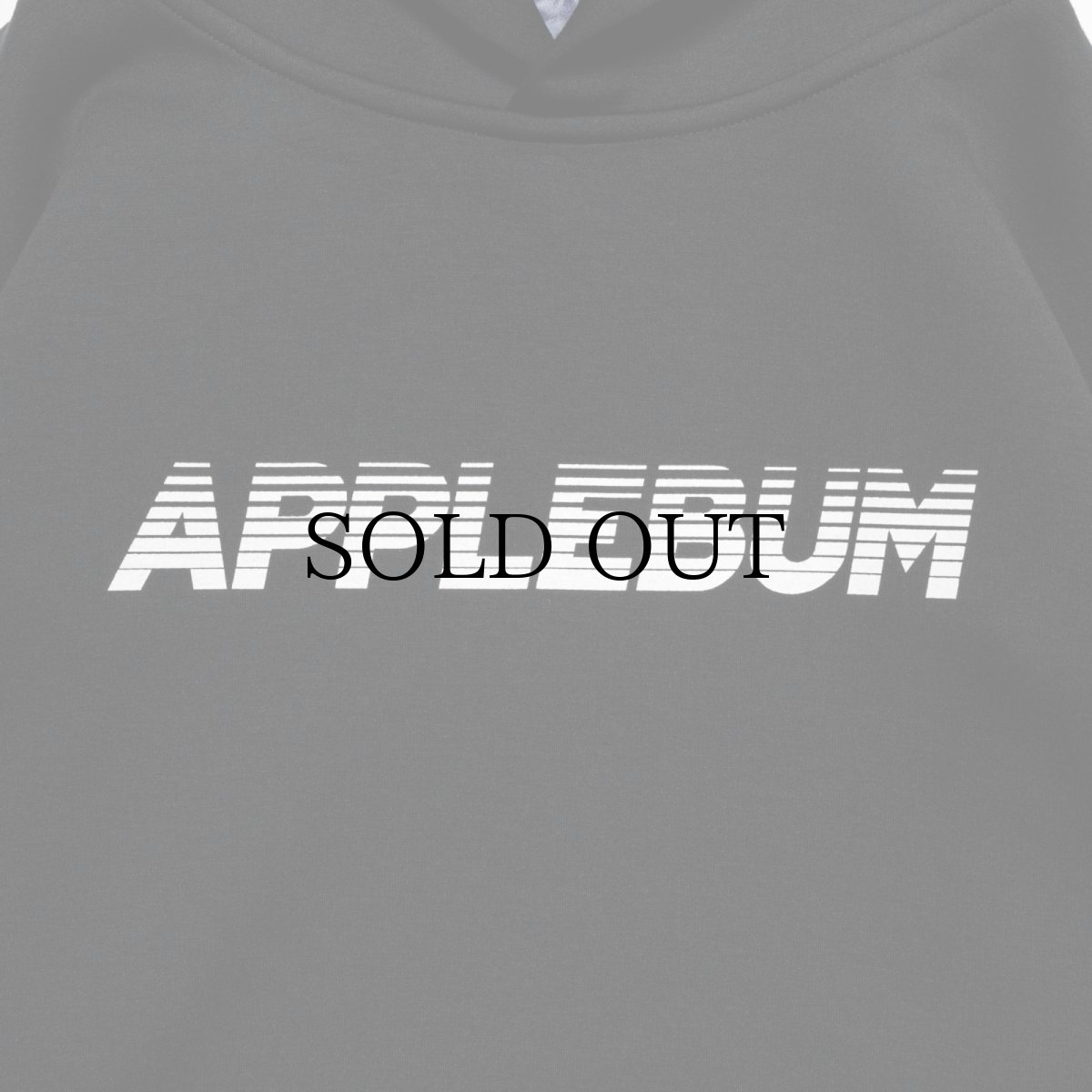 画像13: APPLEBUM(アップルバム) / Sports Logo Double Knit Parka (13)