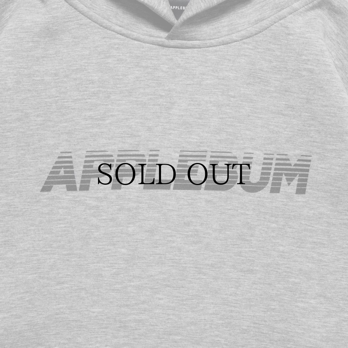 画像12: APPLEBUM(アップルバム) / Sports Logo Double Knit Parka (12)