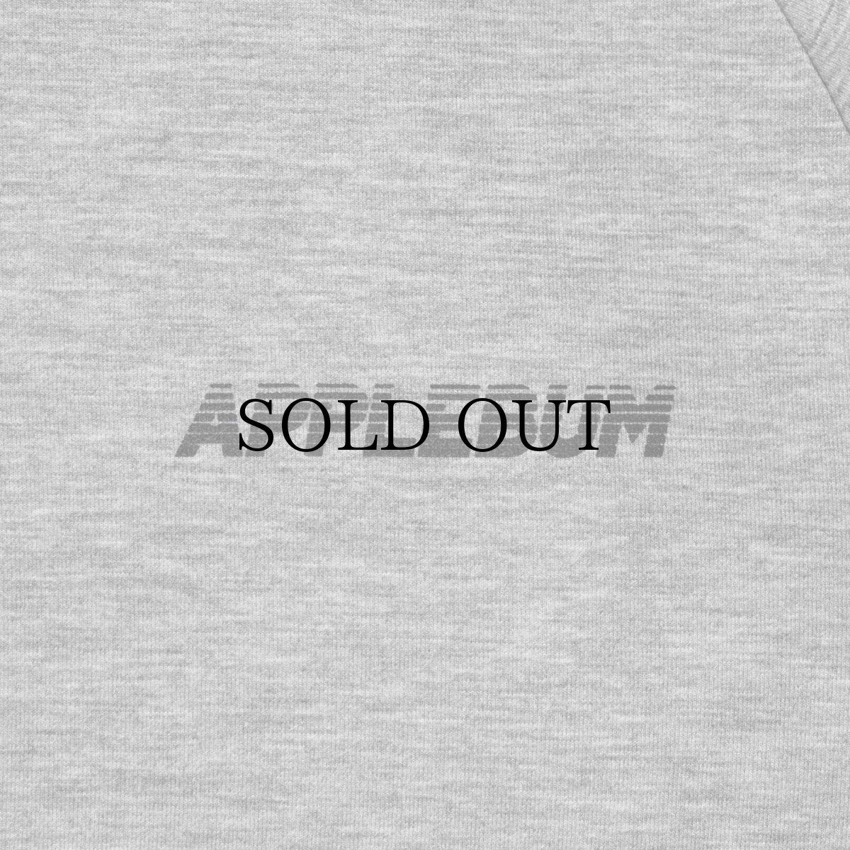 画像21: APPLEBUM(アップルバム) / Double Knit Zip Up Parka (21)