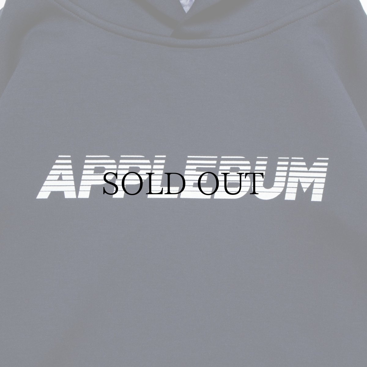 画像14: APPLEBUM(アップルバム) / Sports Logo Double Knit Parka (14)