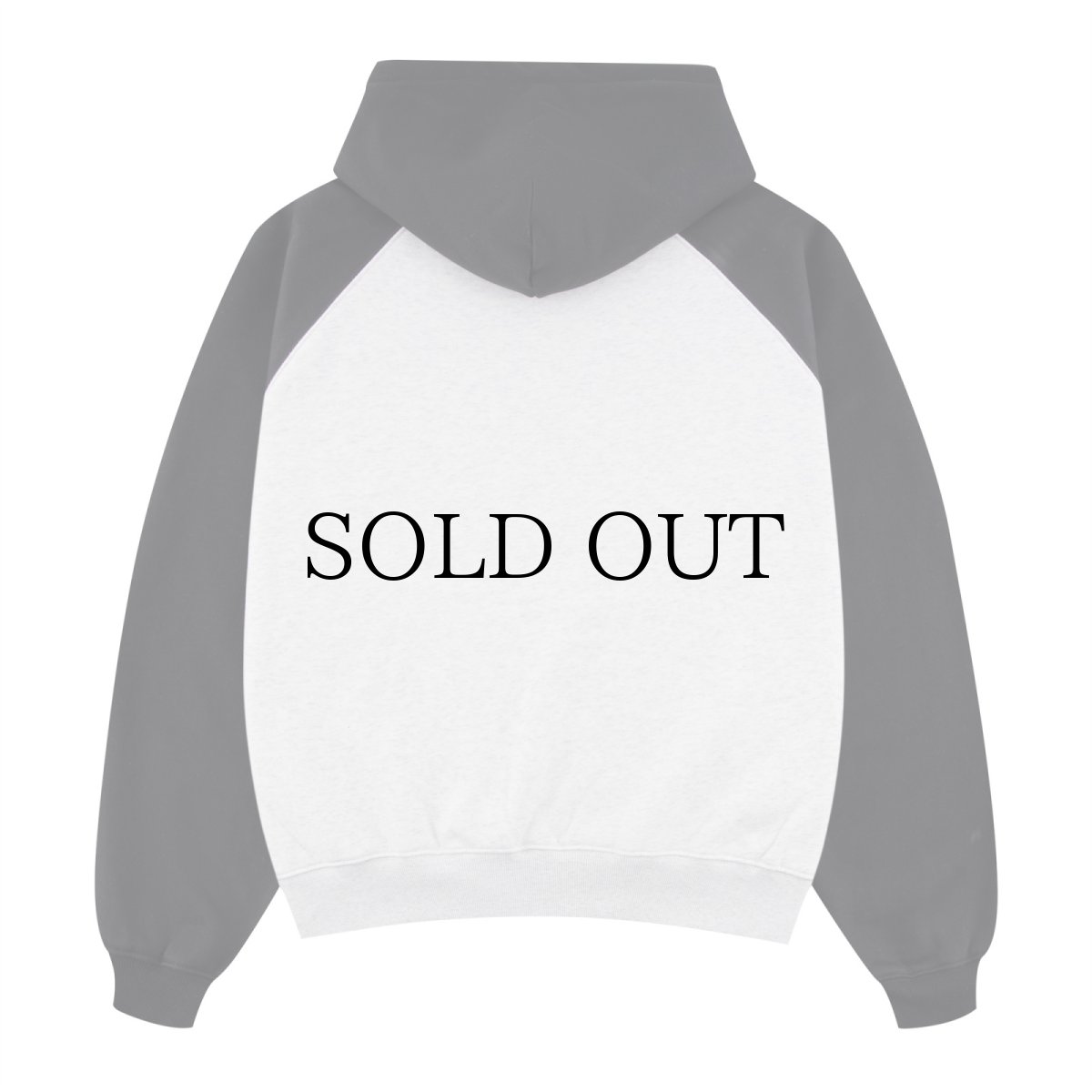 画像2: SPLR / Logo Embroidery Raglan Hoodie (2)