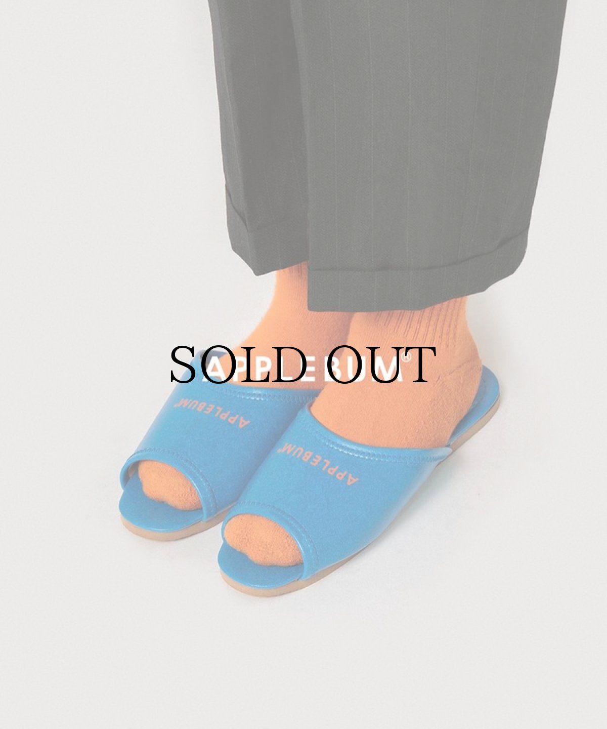 画像2: APPLEBUM(アップルバム) / Logo Slipper (2)