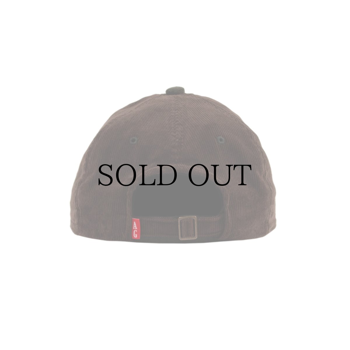 画像11: ACAPULCO GOLD(アカプルコゴールド) / TWO-TONE CORD 6 PANEL CAP (11)