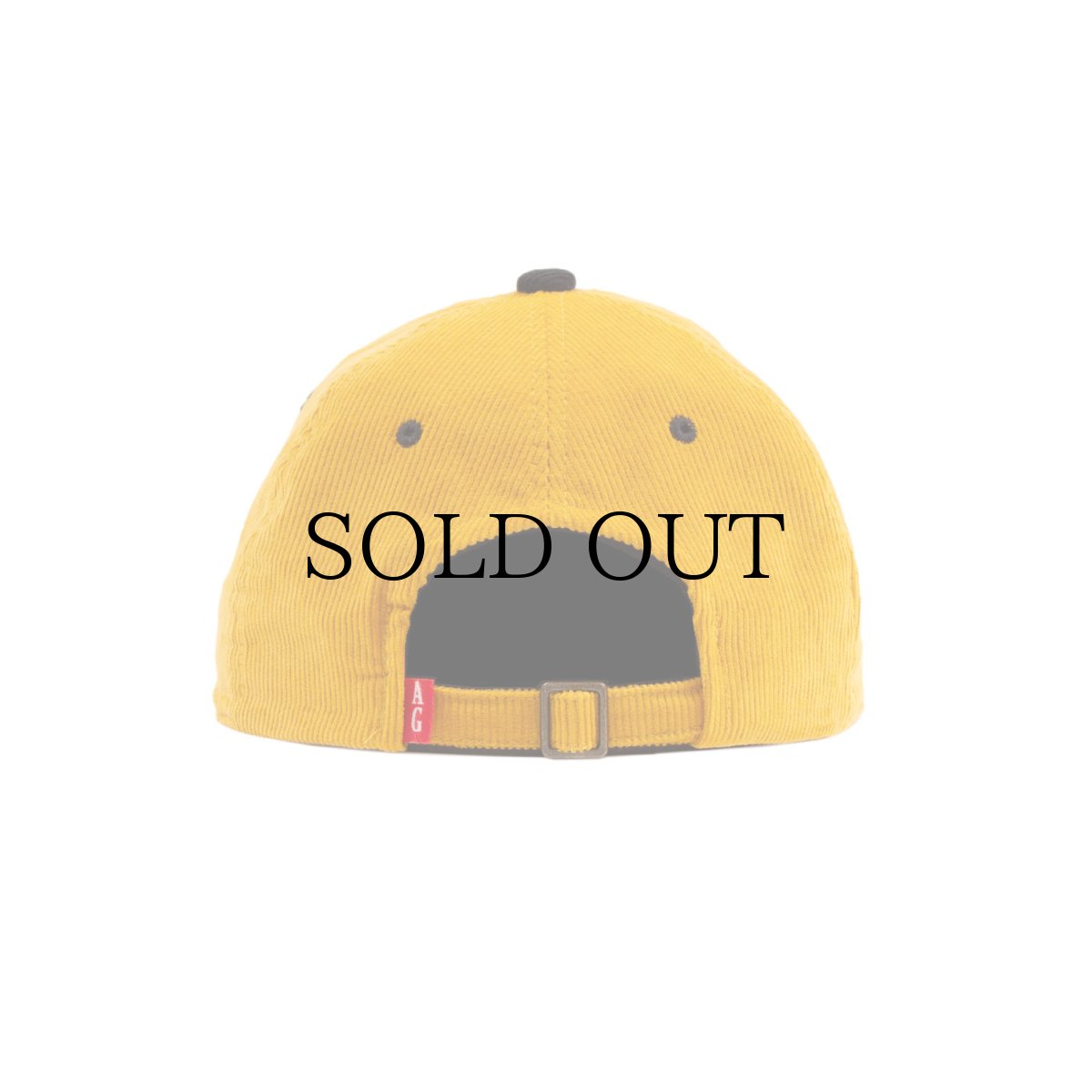 画像12: ACAPULCO GOLD(アカプルコゴールド) / TWO-TONE CORD 6 PANEL CAP (12)