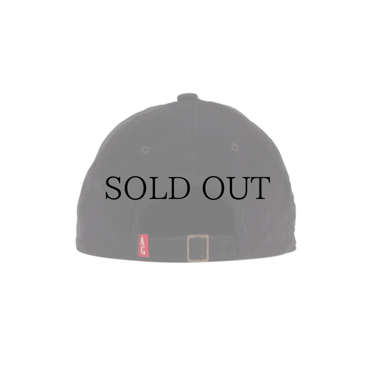 画像10: ACAPULCO GOLD(アカプルコゴールド) / TWO-TONE CORD 6 PANEL CAP (10)