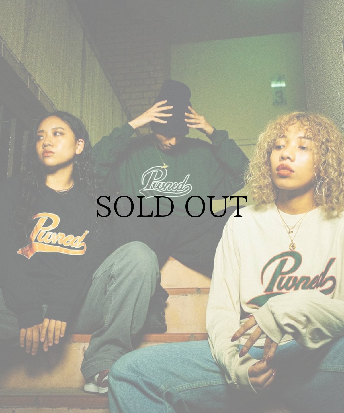 画像18: PWNED(パウンド) / SCRIPT LOGO L/S TEE (18)