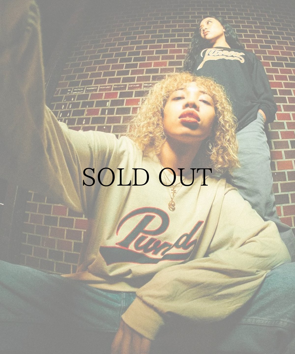 画像12: PWNED(パウンド) / SCRIPT LOGO L/S TEE (12)