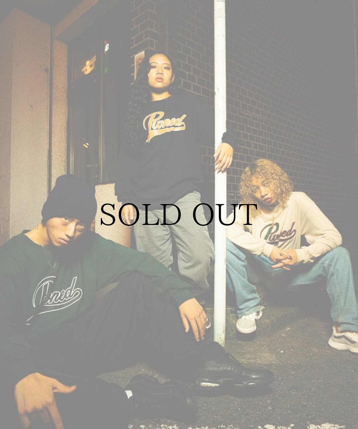 画像22: PWNED(パウンド) / SCRIPT LOGO L/S TEE (22)