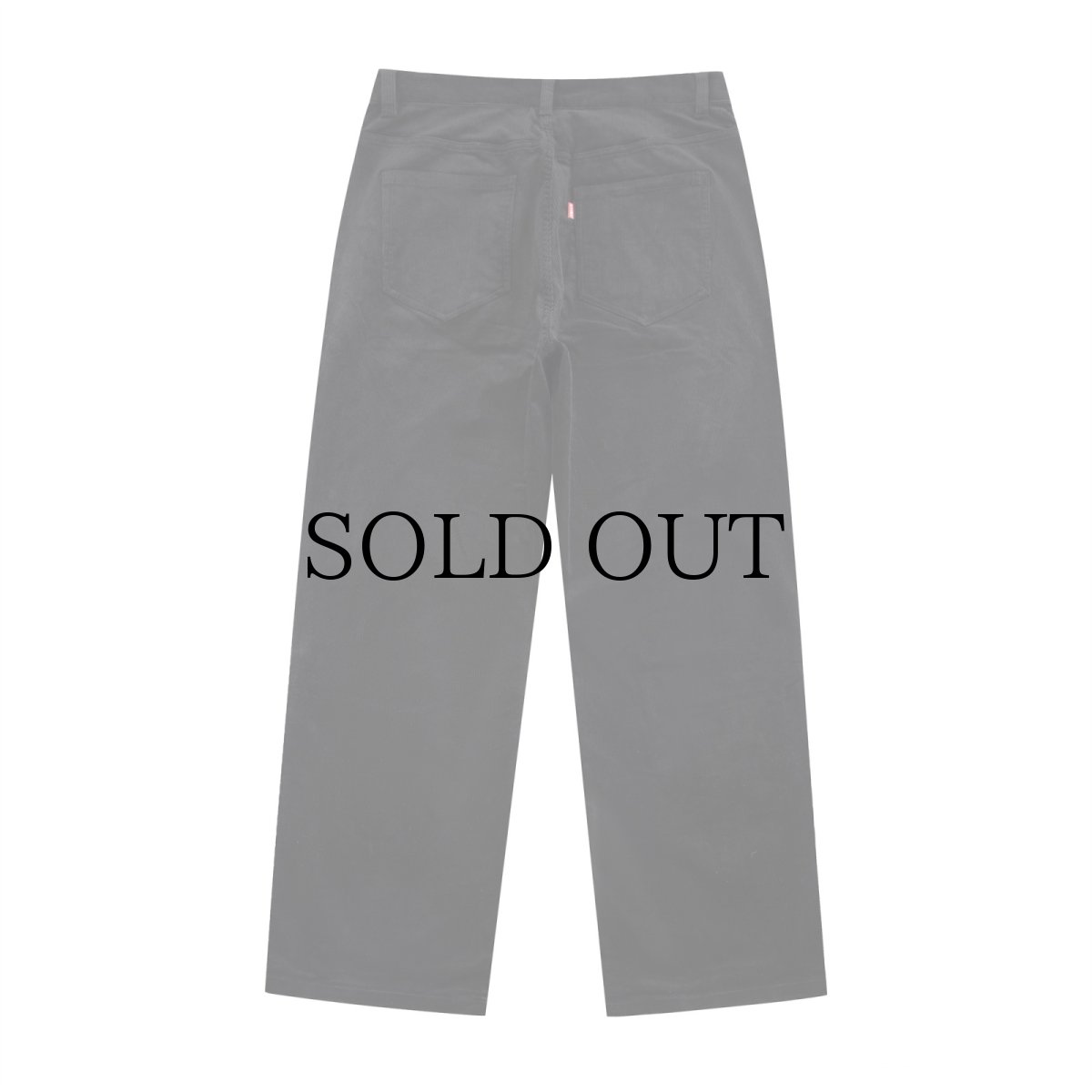 画像2: SPLR / Corduroy Baggy Pants (2)