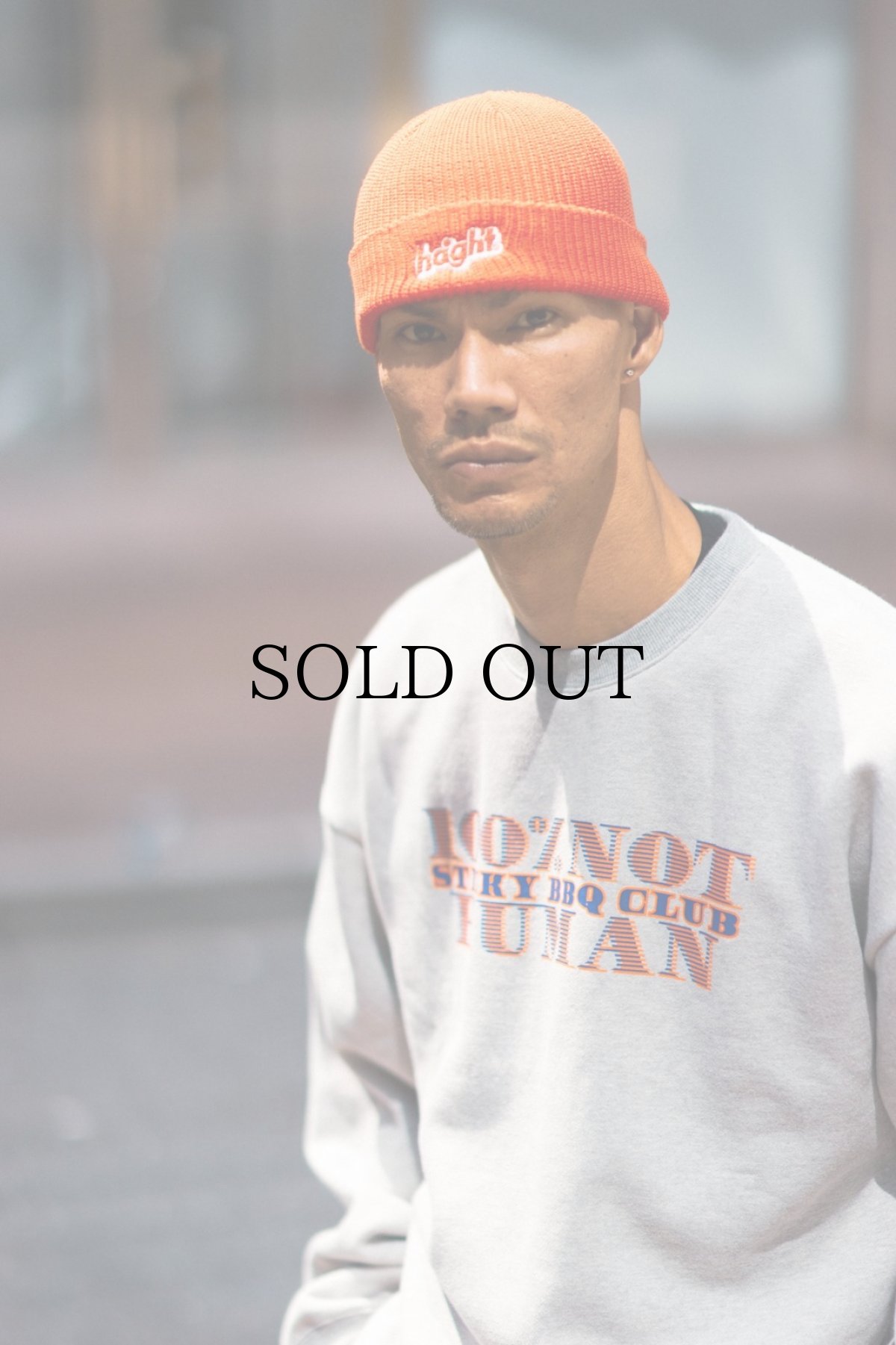 画像23: HAIGHT / CORE LOGO KNIT CAP (23)