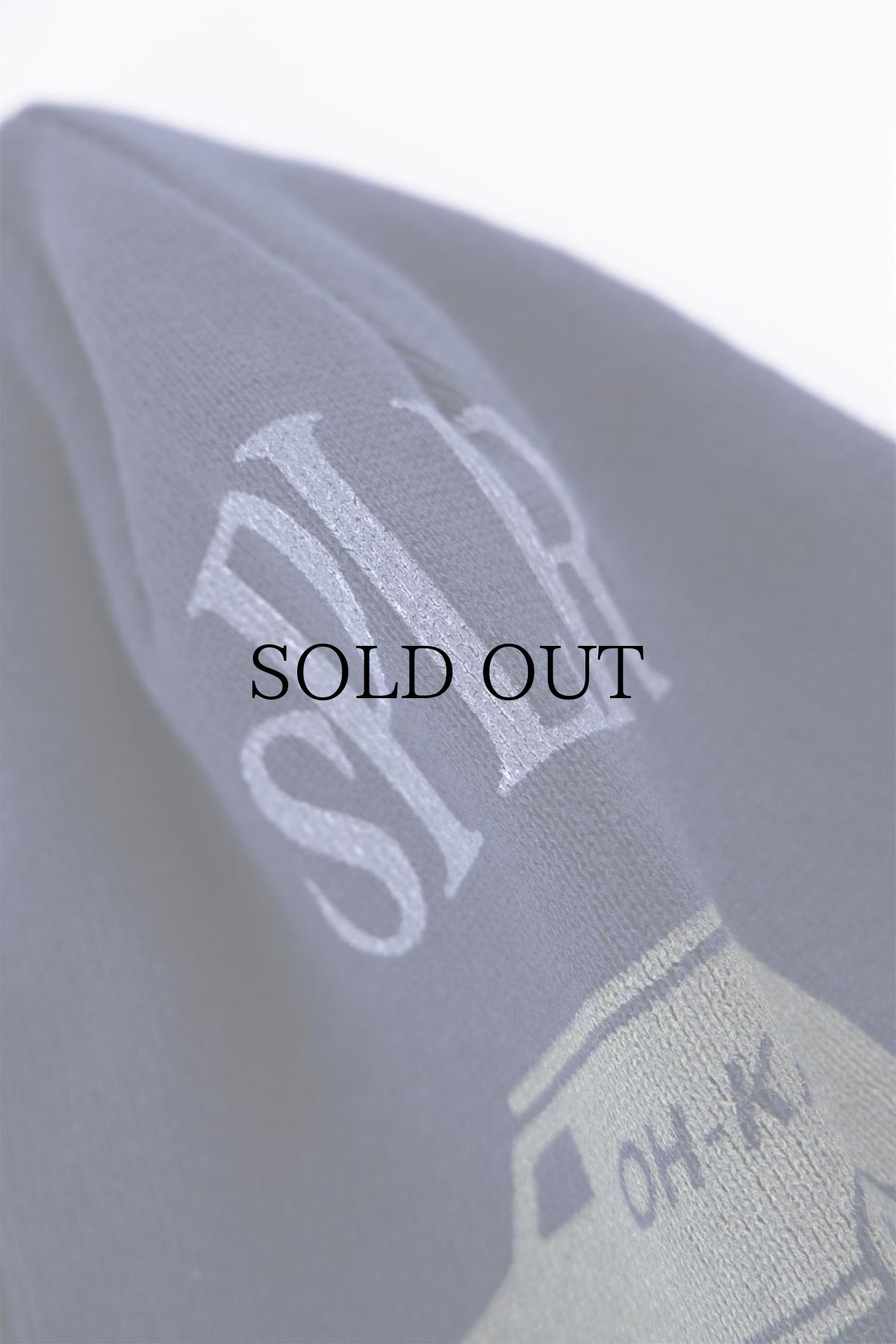 画像8: SPLR / Icon Beanie (8)