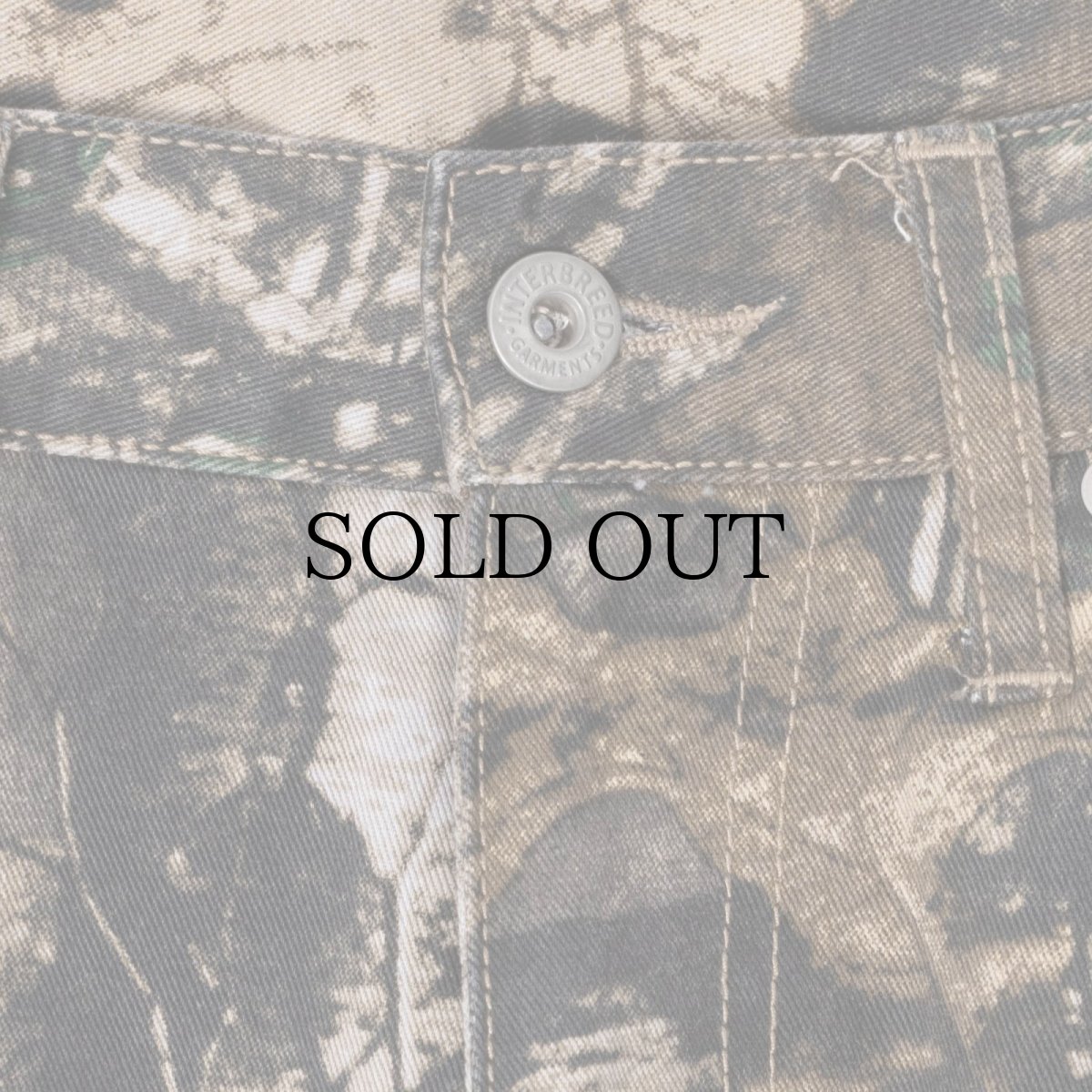 画像8: INTERBREED(インターブリード) / IFPG Realtree 5pocket pants (8)