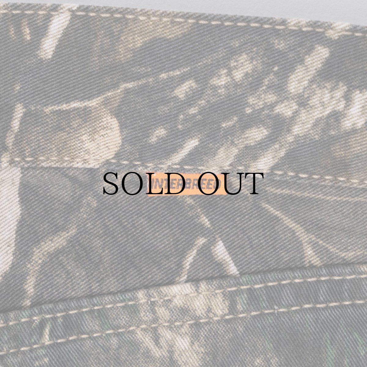 画像7: INTERBREED(インターブリード) / IFPG Realtree 5pocket pants (7)