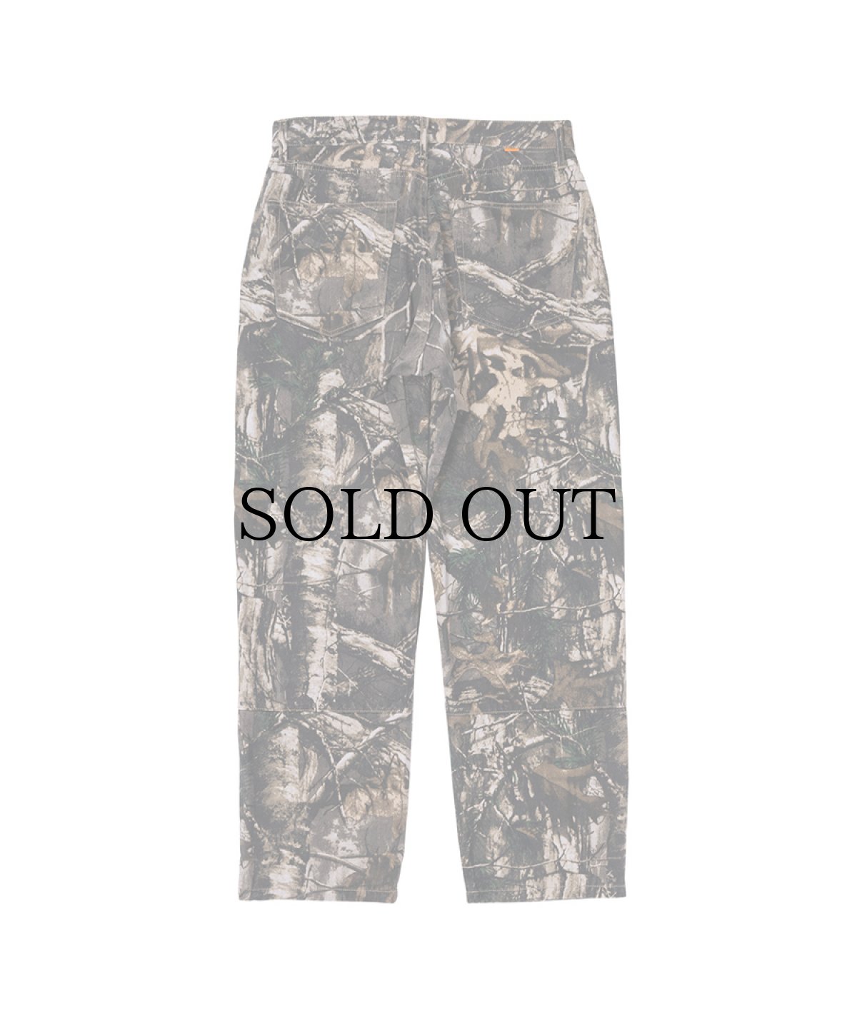 画像2: INTERBREED(インターブリード) / IFPG Realtree 5pocket pants (2)
