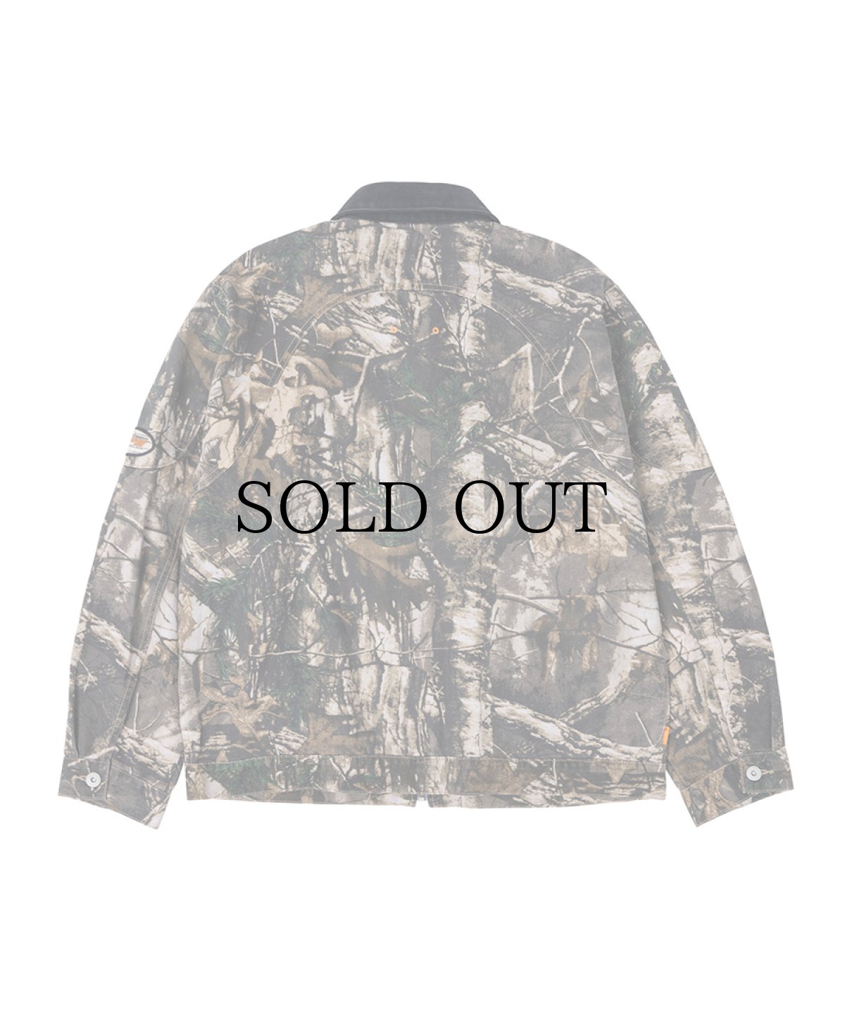 画像2: INTERBREED(インターブリード) / IFPG Realtree Field Jacket (2)