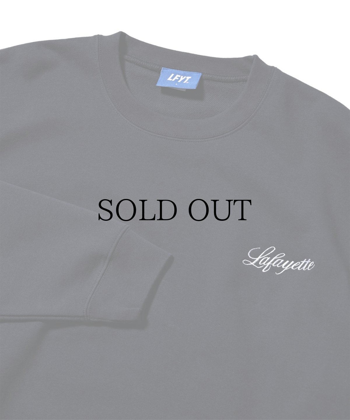 画像11: 【30%OFF】LFYT(ラファイエット) / NIGHT AND THE CITY CREWNECK SWEAT (11)