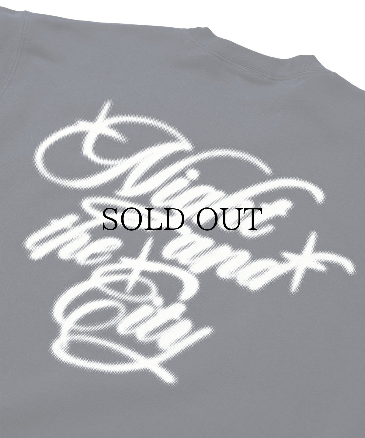 画像14: 【30%OFF】LFYT(ラファイエット) / NIGHT AND THE CITY CREWNECK SWEAT (14)