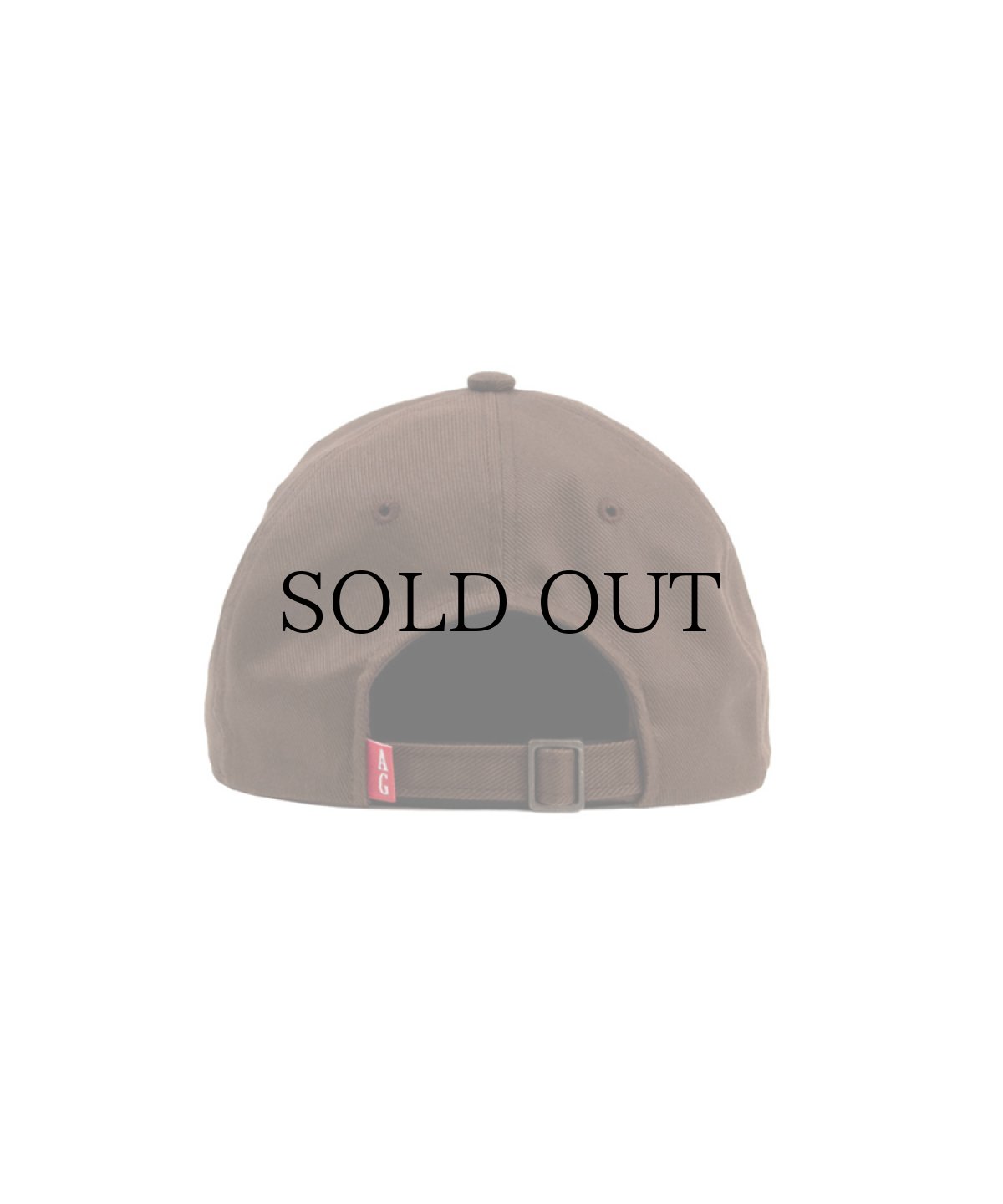 画像7: ACAPULCO GOLD(アカプルコゴールド) / TIGER 6-PANEL CAP (7)