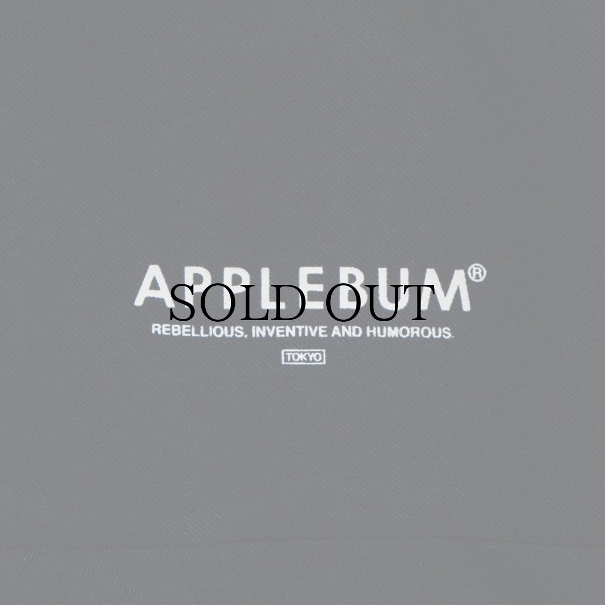 画像14: APPLEBUM(アップルバム) / Hi-Tech Halfzip Anorak (14)