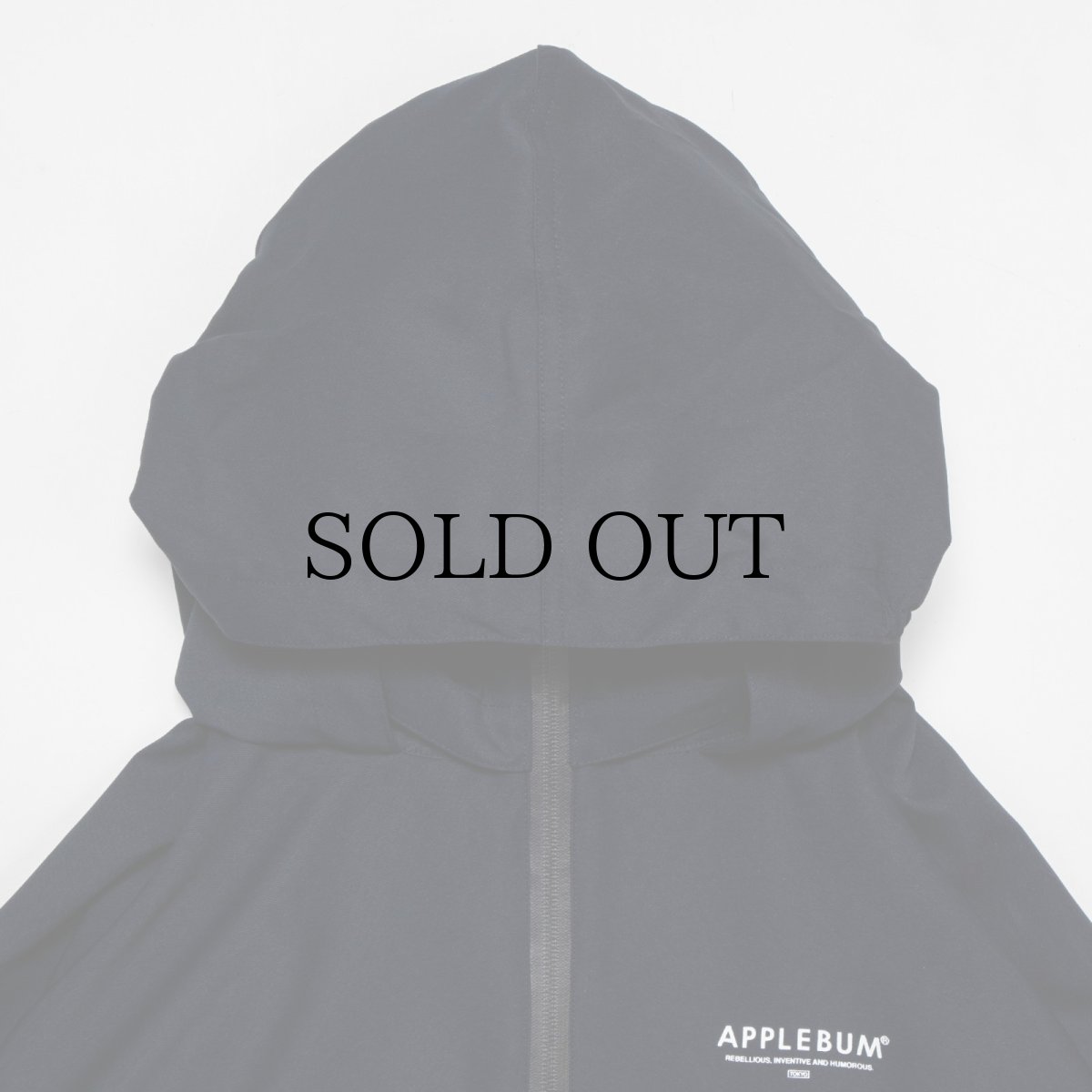 画像12: APPLEBUM(アップルバム) / Hi-Tech Halfzip Anorak (12)