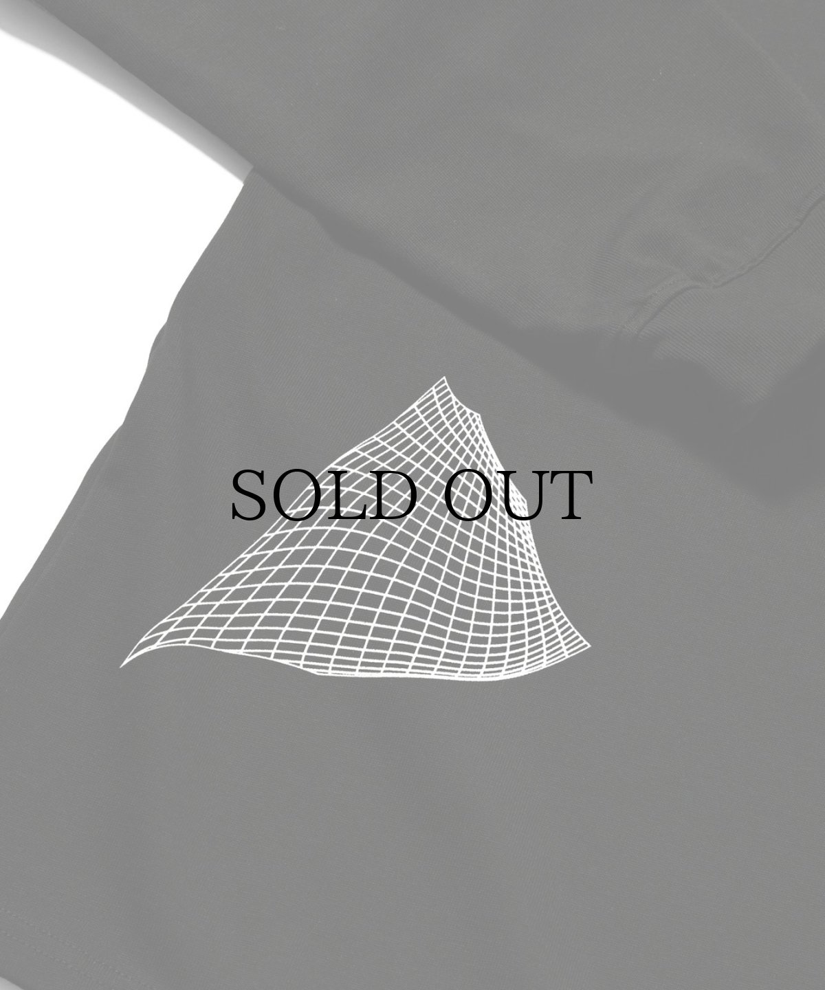 画像12: 【40%OFF】 LFYT(ラファイエット) / LFYT x SauRas Being LOGO L/S TEE (12)