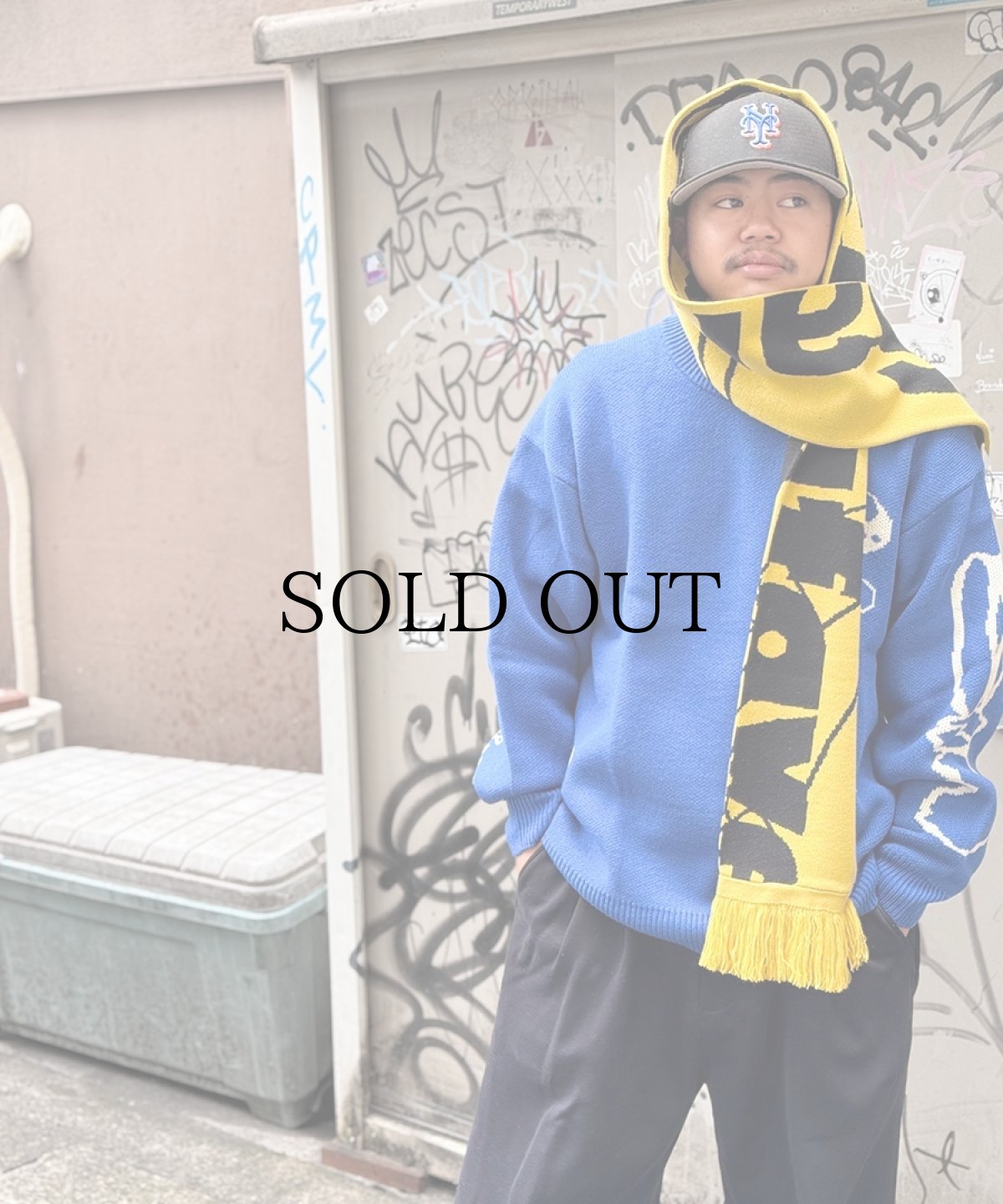 画像1: 【40%OFF】LFYT(ラファイエット) / LFYT x SauRas Being GRAPHIC SWEATER (1)