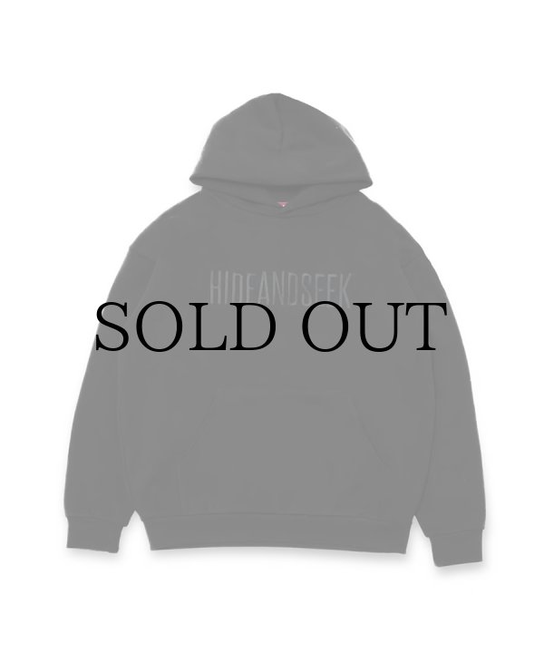 HIDEANDSEEK(ハイドアンドシーク) スウェットパーカー Embroidery