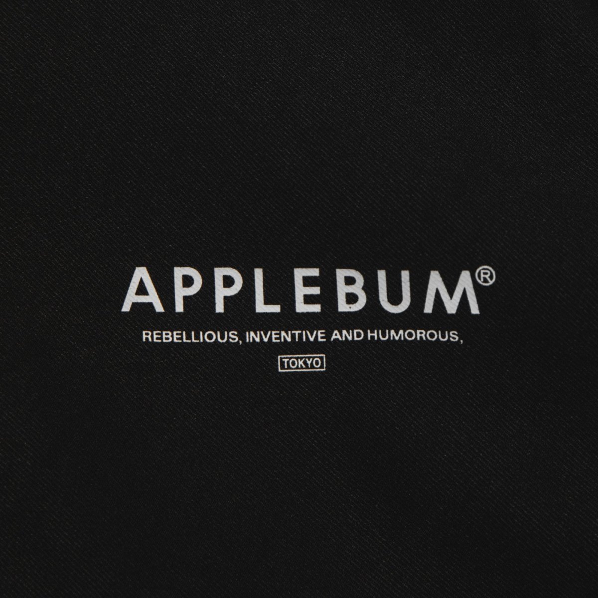 画像6: APPLEBUM(アップルバム) / “Babylon View2” High Tech Anorak (6)
