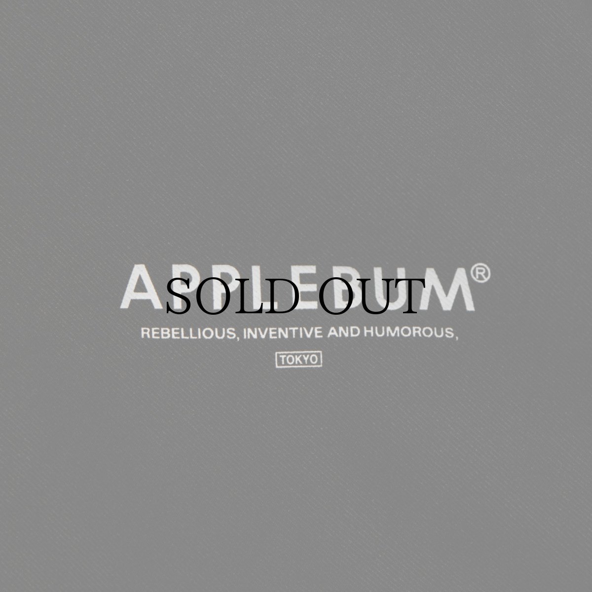 画像6: APPLEBUM(アップルバム) / “Babylon View2” High Tech Anorak (6)