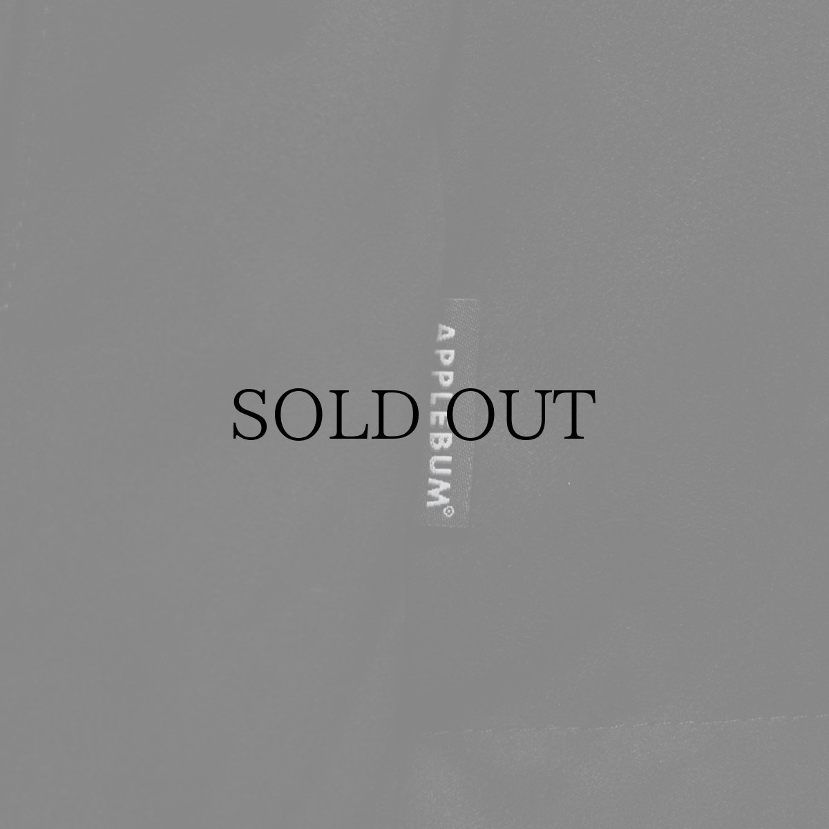 画像11: APPLEBUM(アップルバム) / Synthetic Suede Innercotton Jacket (11)