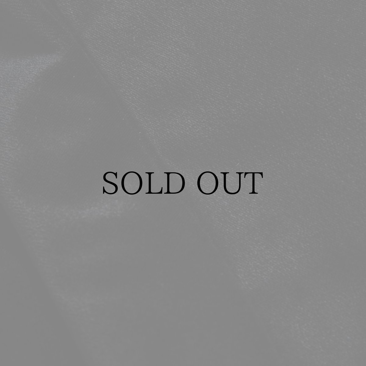 画像8: APPLEBUM(アップルバム) / Hanten Velor Innercotton Jacket (8)