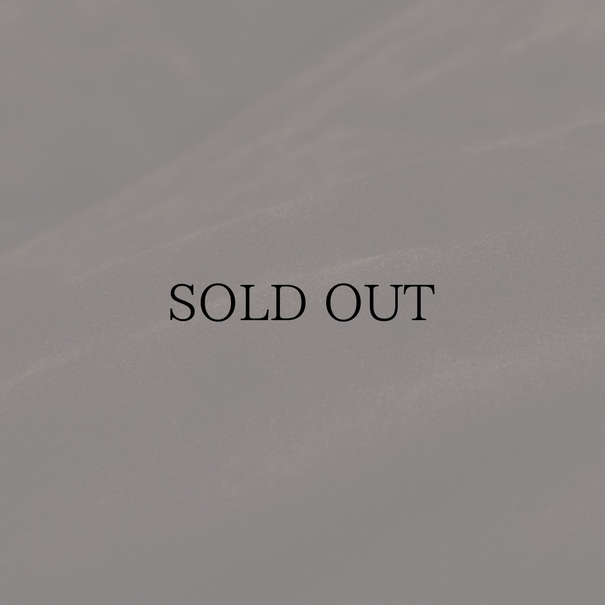 画像16: APPLEBUM(アップルバム) / Synthetic Suede Innercotton Jacket (16)