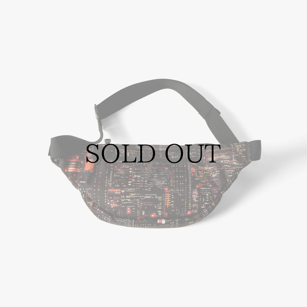 画像2: APPLEBUM(アップルバム) / “Babylon View2” Waist Bag (2)