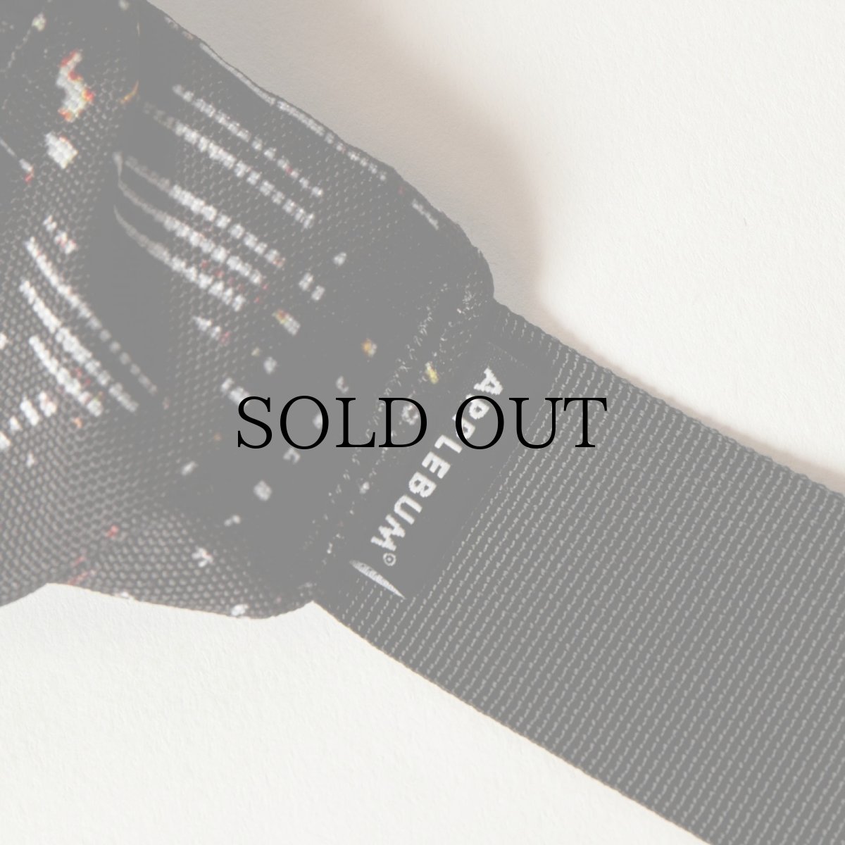 画像5: APPLEBUM(アップルバム) / “Babylon View2” Waist Bag (5)